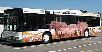 lpp-bus-zoo