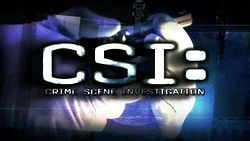 CSI-na-kraju-zločina