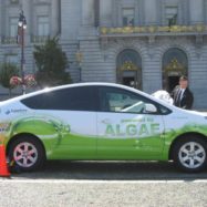 algaeus-prius-na-alge