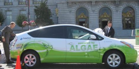 algaeus-prius-na-alge