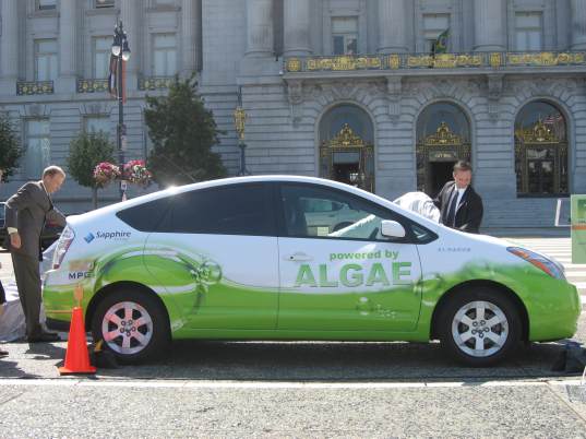 algaeus-prius-na-alge