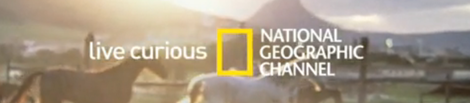 national-geographic-live-curious
