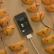 iphone-polnjenje-pomarance