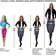 barbie-proporci