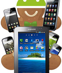 samsung-galagy-gingerbread