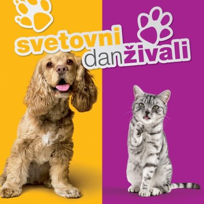 svetovni-dan-zivali-2011