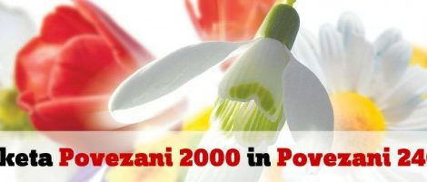 Zemanta Related Posts Thumbnail