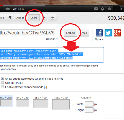 embed-youtube-video