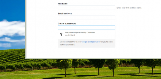 google-chrome-password-generator