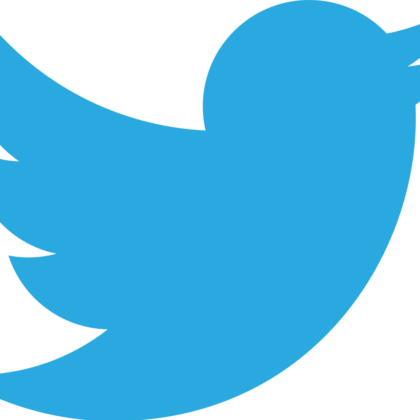 Twitter_bird_logo_2012