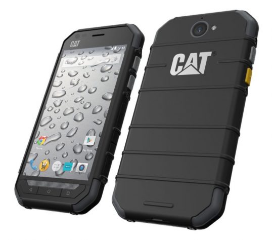 cat-s30