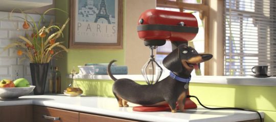 The Secret Life of Pets-3