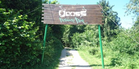 pustolovski-park-geoss