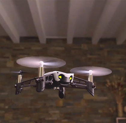 parrot-drone