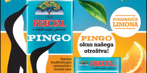 pingo1