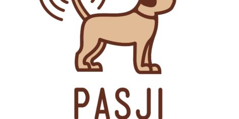 PASJI RADIO