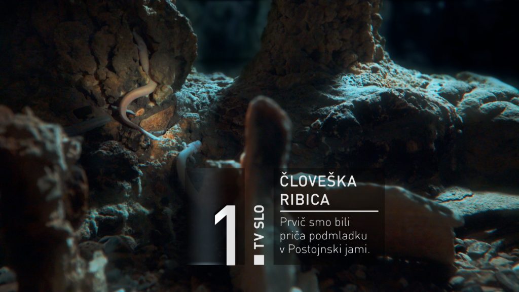 RTV-SLO-1-tv-slovenija-spot-cloveska-ribica