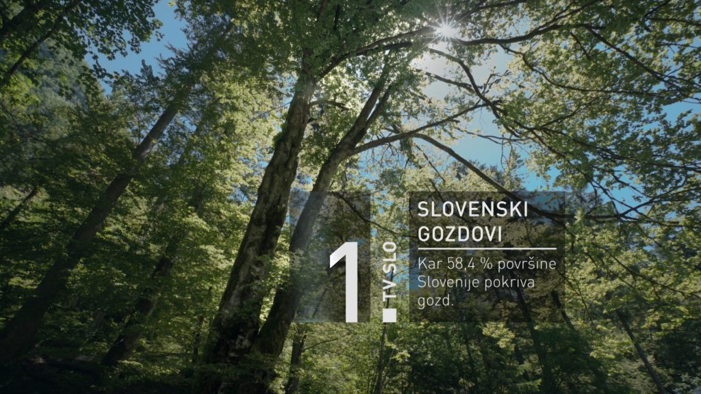 RTV-SLO-1-tv-slovenija-spot-slovenski-gozdovi