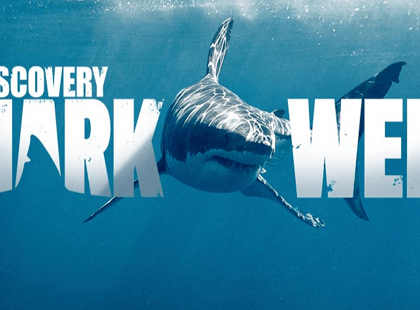 shark-week-discovery-chanel-2019-teden-morskih-psov