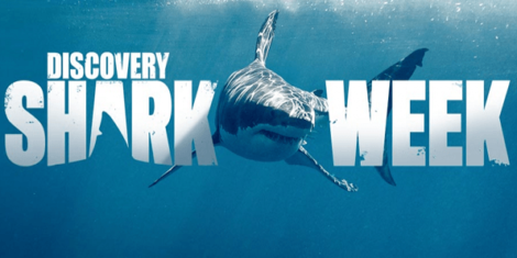 shark-week-discovery-chanel-2019-teden-morskih-psov