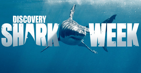 shark-week-discovery-chanel-2019-teden-morskih-psov
