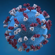 koronavirus-virus-covid-19