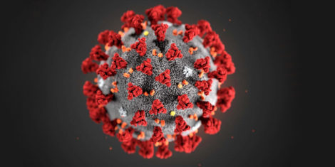 koronavirus-virus-covid-19-mikroskop