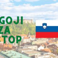 Pogoji-za-vstop-v-Slovenijo-PCT-pogoj-digitalno-COVID-potrdilo-QR-koda