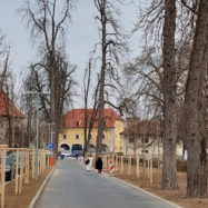 Park Kodeljevo drevored Ulica Carla Benza Ljubljana