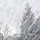 Sneg-oranzni-alarm-april-2024-Hladna-fronta-veter-in-sneg-so-povzrocili-da-je-ARSO-objavil-oranzzni-alarm-za-Slovenijo-mozen-bo-snegolom