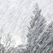 Sneg-oranzni-alarm-april-2024-Hladna-fronta-veter-in-sneg-so-povzrocili-da-je-ARSO-objavil-oranzzni-alarm-za-Slovenijo-mozen-bo-snegolom