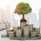 NLB omogoča financiranje zelenih projektov z ugodnejšimi pogoji