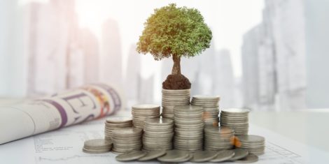 NLB omogoča financiranje zelenih projektov z ugodnejšimi pogoji
