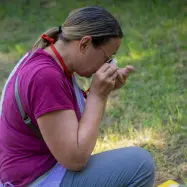 BioBlitz 2025 v Radencih osvetljuje biodiverziteto Mure, 72 strokovnjakov zabeležilo 100 zavarovanih vrst