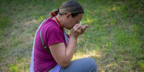 BioBlitz 2025 v Radencih osvetljuje biodiverziteto Mure, 72 strokovnjakov zabeležilo 100 zavarovanih vrst