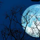 Jesetrova polna luna avgusta 2025  Kdaj in kje bo jesetrovo polno Luno možno opazovati v Sloveniji ter kaj avgustovsko polno luno dela posebno