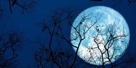 Jesetrova polna luna avgusta 2025  Kdaj in kje bo jesetrovo polno Luno možno opazovati v Sloveniji ter kaj avgustovsko polno luno dela posebno