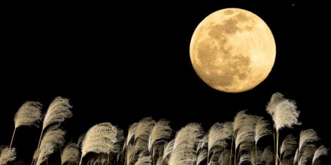 Super polna luna oktober 2025 superluna  Žetvena polna Luna v oktobru bo prva superluna (super polna Luna) v letu 2025