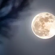 Super polna Luna november 2025 superluna  Bobrova polna Luna v oktobru bo prva superluna (super polna Luna) v letu 2025