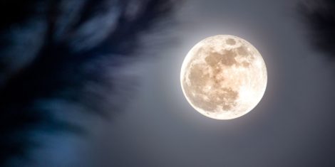 Super polna Luna november 2025 superluna  Bobrova polna Luna v oktobru bo prva superluna (super polna Luna) v letu 2025