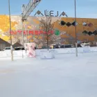 Aleja drsališče 2025 2026 600 m2 veliko drsališče tokrat na novi lokaciji pred Alejo, cenik drsanja ostaja enak kot lani  delovni čas