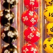 Novoletni loto 2026 rezultati žrebanja  rezultati žrebanja igre Novoletni loto na dan 1.1.2026