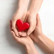 Svojci darovalcev kot nevidni steber transplantacijske medicine