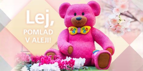ALEJA v cvetju za dan žena, saj bodo tudi letos delili lončnice