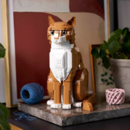 LEGO Orange Cat oranžna Lego mačka se je pridružila Tuxedo Cat, ki s smokingom navdušuje Lego entuziaste