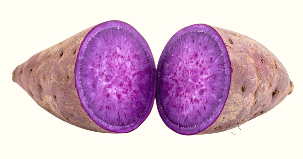 ube filipinski vijolični jam Dioscorea alata